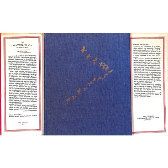 Abstract "The Waterfowl of the World: Volumes One & Two" 1956 Delacour, Jean For Sale - Image 3 of 17