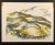 1963 Eleanor Greenberg Landscape Lithograph For Sale - Image 4 of 5