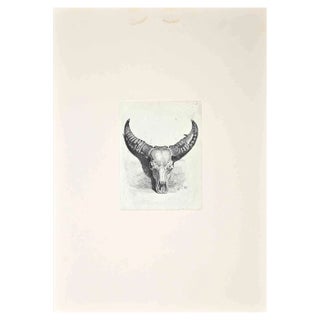 After Charles Coleman, The Bull's Skull, Original Etching, 1992 For Sale