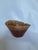 2020s Eucalyptus Wood Snall Dish For Sale - Image 5 of 6