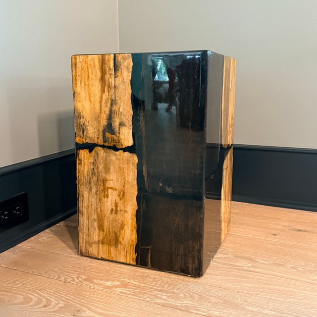 Made Goods Teo Mix Petrified Wood Stool or Side Table A striking juxtaposition of dark and light petrified wood. Use as a...