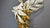 Vintage Floral Wall Lamp from Hans Kögl, 1970s For Sale - Image 12 of 18