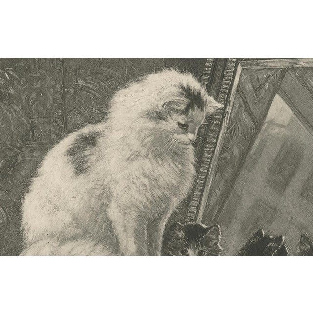 Henriette Ronner, Curiosity Reflected: Cats and Kittens, 1894, Print For Sale - Image 3 of 7