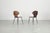 1950s Set of Bentwood Dining Chairs by Carlo Ratti, Italy, 1950s For Sale - Image 5 of 18