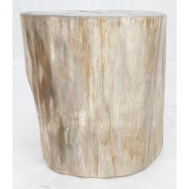 Mid-Century Modern Beige Large Petrified Wood Organic Stomp Shape Stand End Side Table Pedestal For Sale - Image 3 of 9