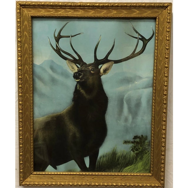 Realism The Elk - Early 20th Century Original Oil Painting, Framed For Sale - Image 3 of 4