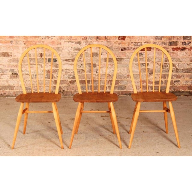 Set of 3 of mid century Ercol Model 400 chairs made in elm and beech circa 1960s. One of the chairs retains the original...