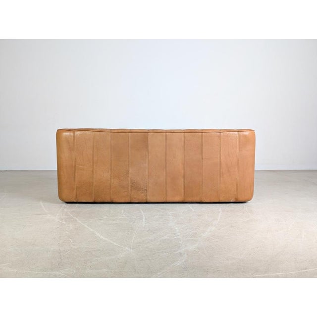 Animal Skin DS44 Three-Seater Sofa in Buffalo Leather from de Sede For Sale - Image 7 of 12