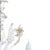 Venetian Chandelier, 19th Century For Sale - Image 4 of 6