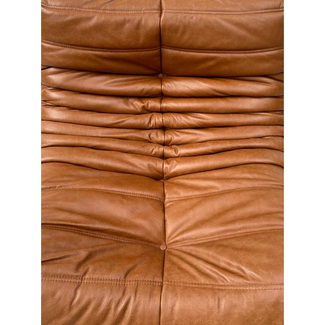 Mid-Century Modern Togo Lounge Chair in Dark Cognac Leather attributed to Michel Ducaroy for Ligne Roset For Sale - Image 3 of 11