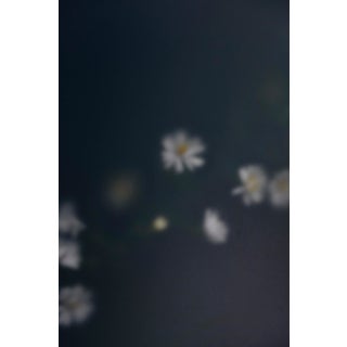 "Annwn" Photograph Print by Erin Derby For Sale