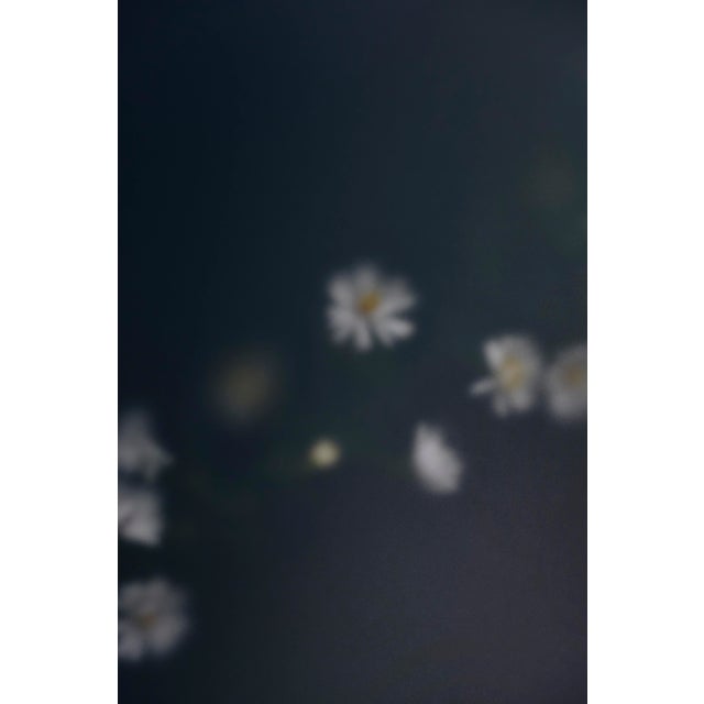 "Annwn" Photograph Print by Erin Derby For Sale