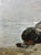 1970s Oil Painting Seascape Peter Kuzmich Stolyarenko For Sale - Image 4 of 7