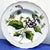 Mottahedeh 1980s Chelsea Botanical Plates by Mottahedah, Set of 12 For Sale - Image 4 of 10