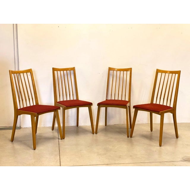 Beech Chairs, 1960s, Set of 4 For Sale - Image 10 of 10