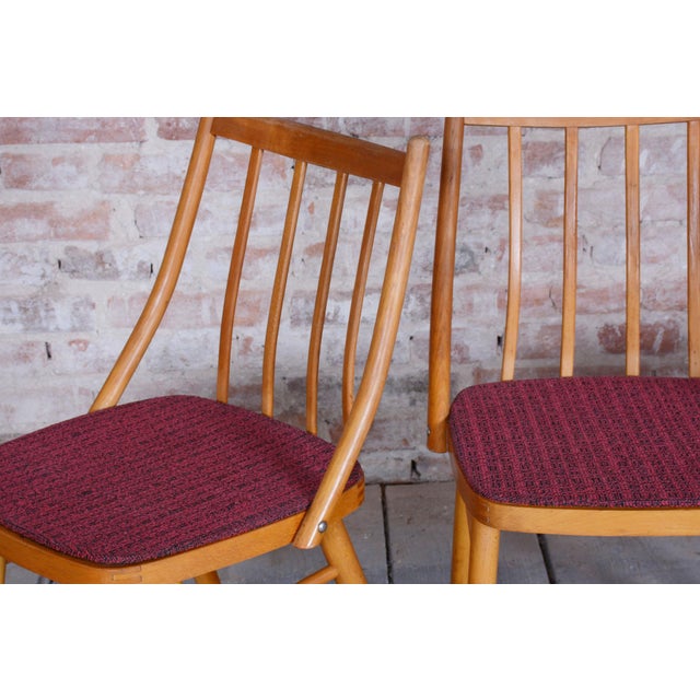 Mid-Century Modern Mid-Century Modern Chairs by Antonín Šuman, 1960s, Set of 4 For Sale - Image 3 of 11