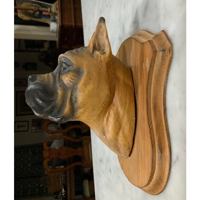 Ceramic Vintage German Friedel "Panopticum Animale" Boxer Dog, Matte Ceramic Bust Wall Plaque For Sale - Image 7 of 9