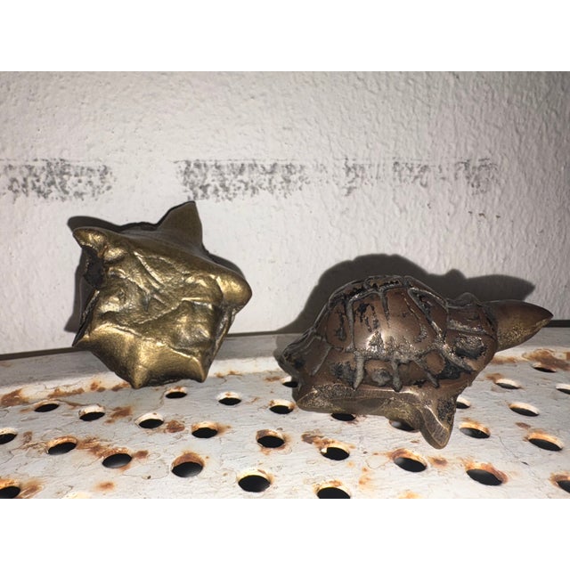 Pair of bronze turtles, excellent antique, 7 cm deep, 5.5 cm wide, 4 cm high