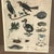 Late 19th Century Pair 19th C Hand Colored Engravings of Extinct Species For Sale - Image 5 of 15