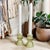 Elevate your home decor with these Transparent Green Ribbed Glass Taper Candle Holders, designed to add a touch of...