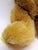 1960s 1960s Uk Farnell Golden Mohair Bear With Working Squeak Box Excellent Condition For Sale - Image 5 of 9