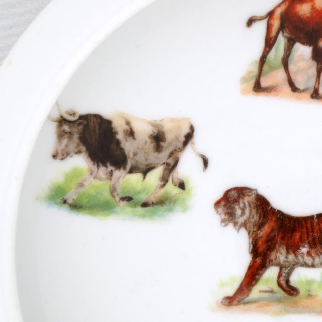 Antique German Illustrated Child's Dish Animal Full Color Early 1900s For Sale In Phoenix - Image 6 of 10