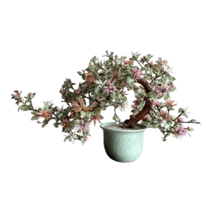 Vintage Mid 20th Century Jade Flowering Bonsai Tree With Celadon Pot