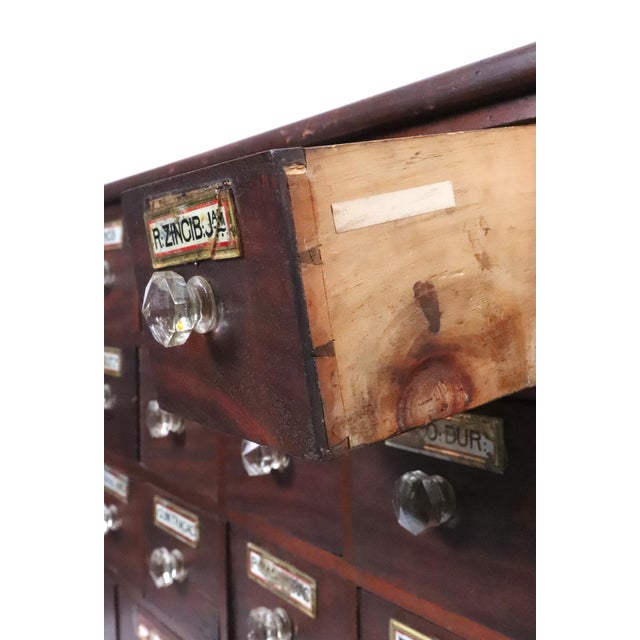 Wood 19th Century Tabletop Pharmacist's Apothecary Cabinet For Sale - Image 7 of 13