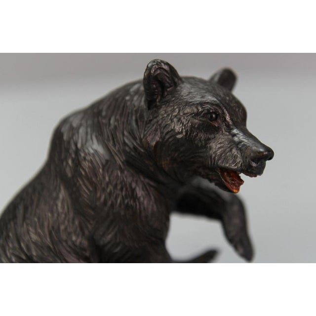 Antique Black Forest Carved Seated Bear Figure, 1890s For Sale - Image 3 of 18
