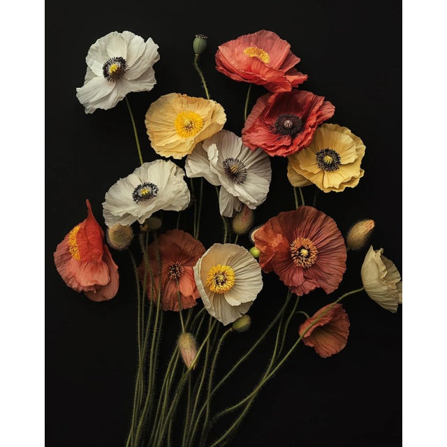 "Botanicals 7" Original Floral Still Life Photograph by Michael Filonow For Sale