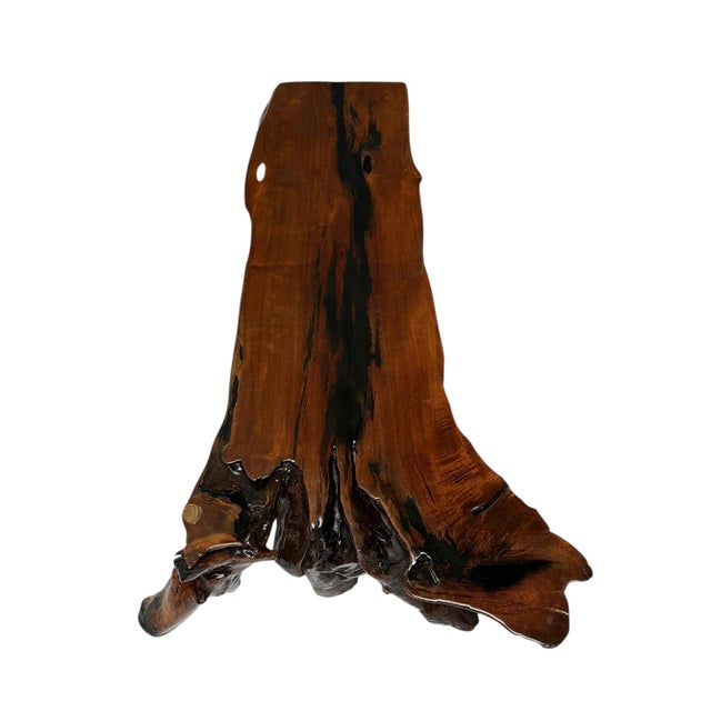 Brown Brutalist Tree Root Coffee Table, 1970s For Sale - Image 8 of 14