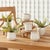 Contemporary Dezie Mini Pots, Set Of 6 For Sale - Image 3 of 14
