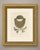 This is an original antique chromolithograph, printed in gold and olive bronze with steel gray, showing a gorget above a...