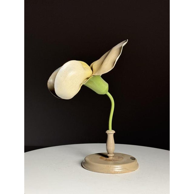German Botanical Flower Model, Late 19th / Early 20th Century. Enlarged teaching model of a flower in papier-mâché and...