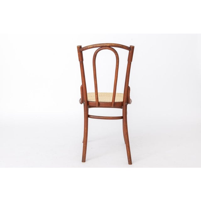 Antique Austrian Bentwood Chair in Rattan in the Style of Thonet No. 56, 1930s For Sale - Image 6 of 14