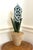 Vintage sculptural tole formed and painted as a blue hyacinth potted in a terracotta pot. Finished with stones. Handmade...