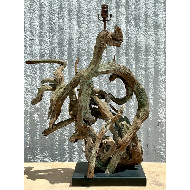 Wood Vintage Boho Monumental Driftwood Lamps - A Pair For Sale - Image 7 of 9