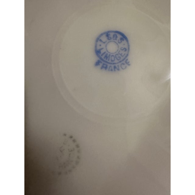 Baby Blue Set of Five Antique Limoge Fish Plates For Sale - Image 8 of 8