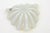 Vintage Murano Opalescent Coastal Clam Shell Glass Bowl by Barovier E Toso, 1950's, Italy For Sale - Image 11 of 12