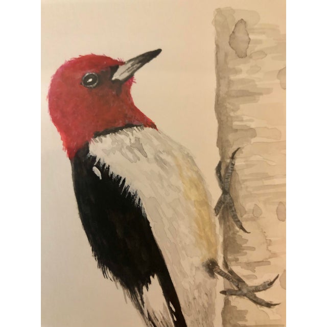 Original Redheaded Woodpecker Watercolor by James Mahoney For Sale - Image 4 of 11