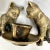 Mid 20th Century Vintage Bronze Cats With Cup Sculpture For Sale In Dallas - Image 6 of 12