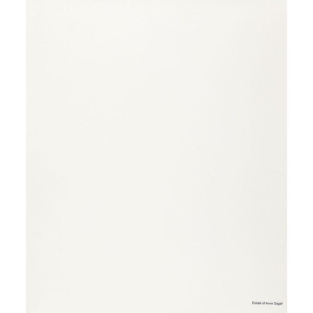 Anne Sager Abstracted Forest Reflections Print For Sale - Image 4 of 5