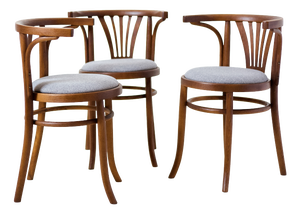 Vintage Chair by Michael Thonet, 1970s