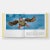 2020s Bird: Exploring the Winged World Book For Sale - Image 5 of 11