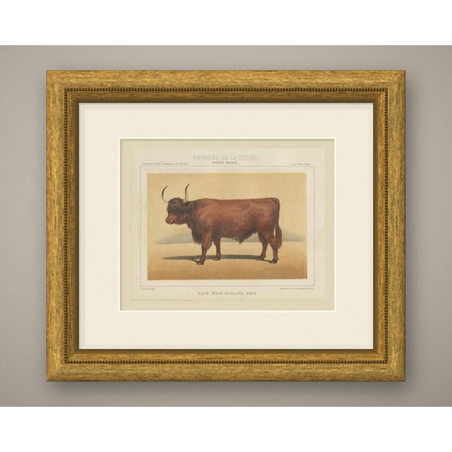 This is an original antique chromolithograph, printed in color from several lithographic stones, from victor borie's...
