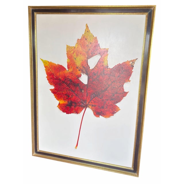 Contemporary Large-Scale Ron Klein Realist Botanical Leaf Painting For Sale - Image 3 of 5