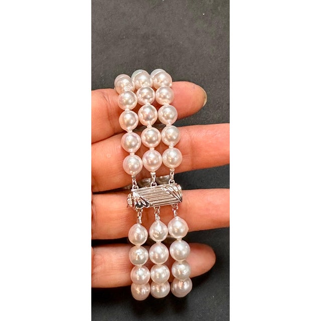 2010s 8mm Akoya Japanies Pearl Triple Strand Bracelet, Sterling Silver Clasp, 8 Inch For Sale - Image 5 of 18