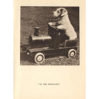 Vintage Original Sealyham Terrier Puppy on Train Print For Sale