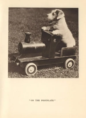 Vintage Original Sealyham Terrier Puppy on Train Print