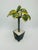 Decorative Miniature Palm Tree Sculpture Material: painted metal or toleware, with faux rock (resin or crushed shell) in...